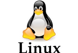 logotipo tux pinguin do linux