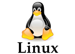 logotipo tux pinguin do linux
